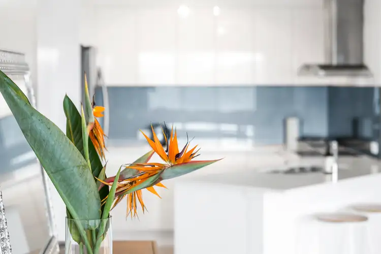 Fifth view of Homely house listing, 63 Mountain View Drive, Woongarrah NSW 2259