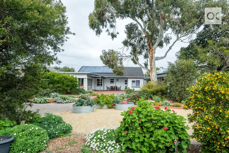 Main view of Homely house listing, 13 Sunset Crescent, Grange SA 5022
