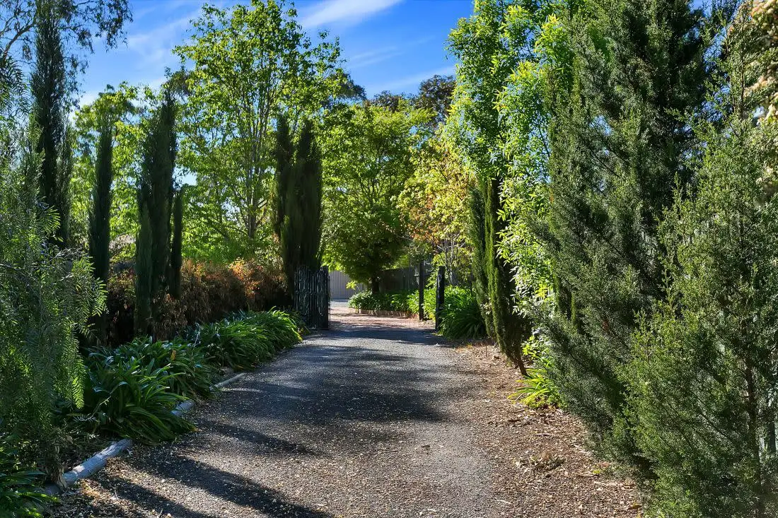 Main view of Homely house listing, 43 Nairne Road, Woodside SA 5244