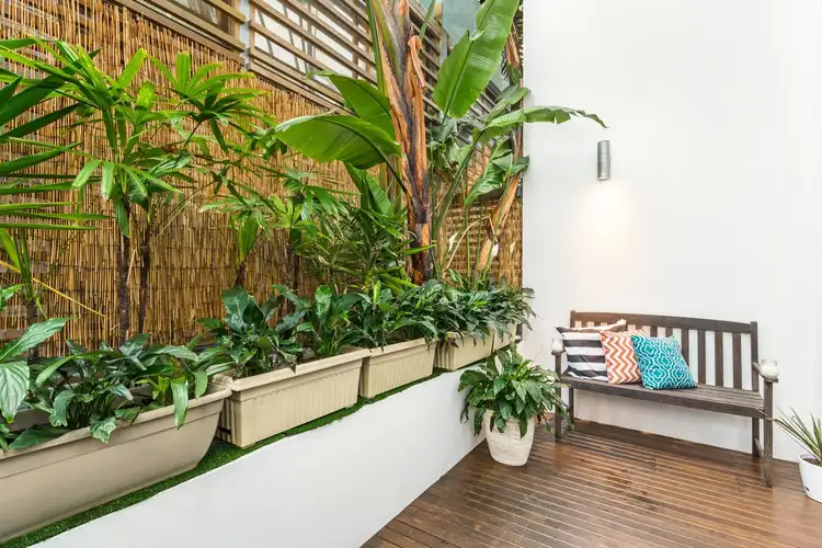 Fifth view of Homely apartment listing, 203/2 Wentworth Street, Manly NSW 2095
