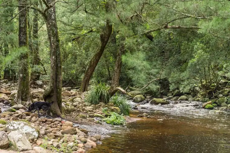 265 Brogers Creek Road, Berry NSW 2535
