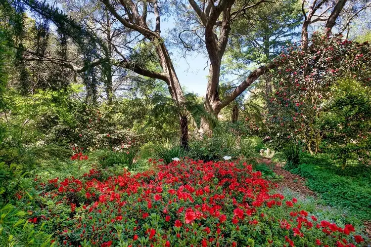 Fifth view of Homely land listing, LOT 77, 33 Morven Road, Leura NSW 2780