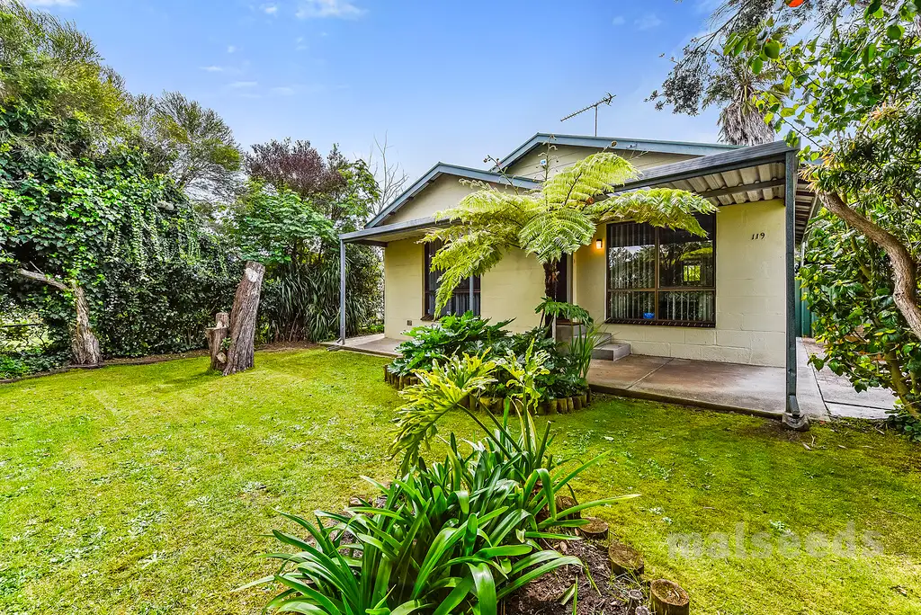 Main view of Homely house listing, 119 Jubilee East Highway, Mount Gambier SA 5290