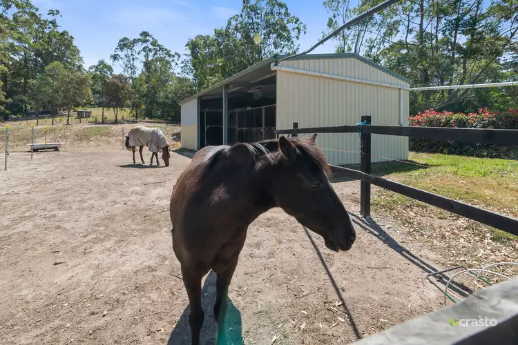 Fifth view of Homely house listing, 523 Bonogin Road, Bonogin QLD 4213