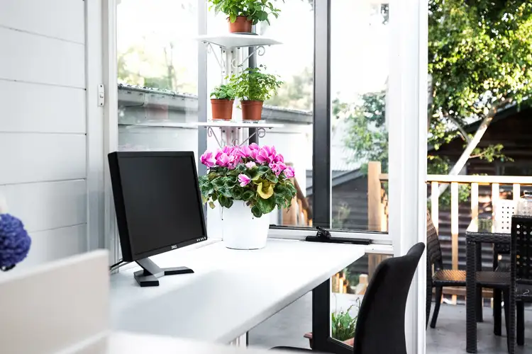 Sixth view of Homely house listing, 17 Pashley Street, Balmain NSW 2041