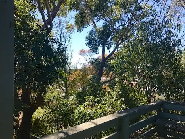 Second view of Homely house listing, 26 Jenkins Place, Wembley Downs WA 6019