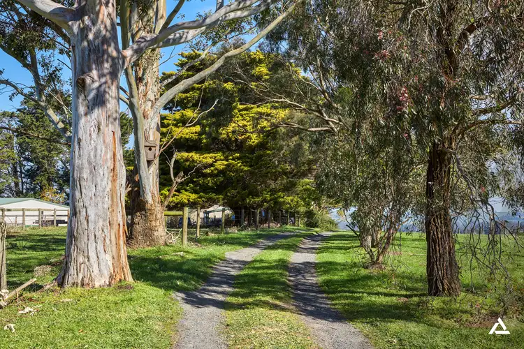 Second view of Homely house listing, 101 Shearn Road, Jindivick VIC 3818