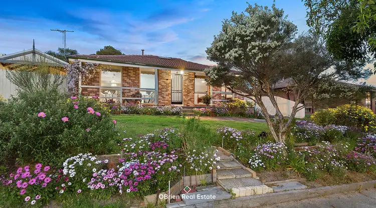 Main view of Homely house listing, 8 Judge Rise, Endeavour Hills VIC 3802