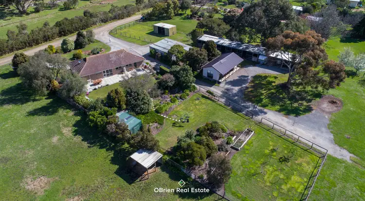 Main view of Homely house listing, 19 Olive Road, Devon Meadows VIC 3977