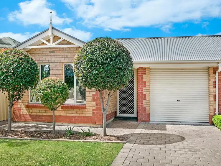 41 York Avenue, Clovelly Park SA 5042