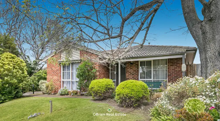 5/6-12 Williams Street, Frankston VIC 3199