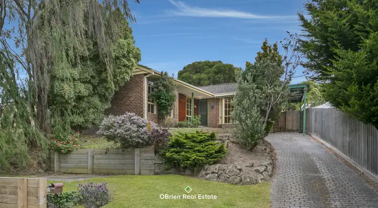 Main view of Homely house listing, 17 Palkana Street, Frankston VIC 3199