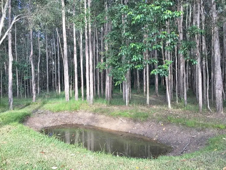 Fourth view of Homely rural property listing, 9 Crab Apple Court, Black Mountain QLD 4563