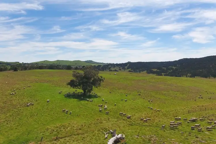 Sixth view of Homely land listing, Joyces Road, Monegeetta VIC 3433