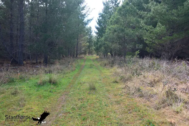 Sixth view of Homely land listing, LOT 5 Central Road, Sugarloaf QLD 4380