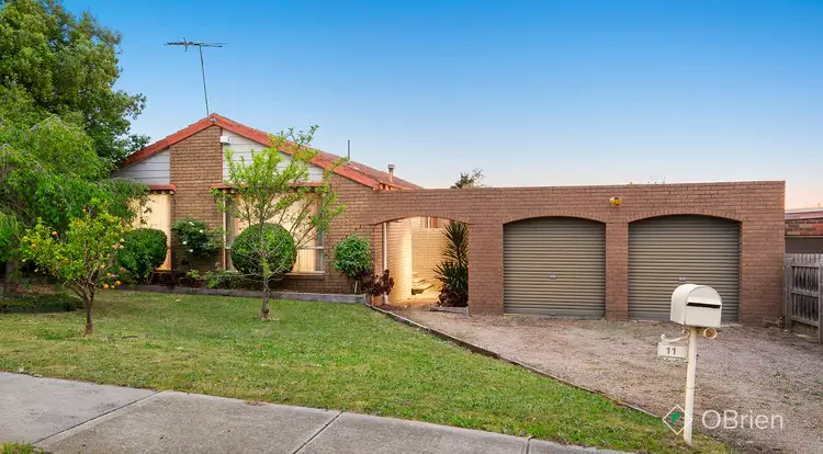Main view of Homely house listing, 11 Robert Molyneux Avenue, Endeavour Hills VIC 3802