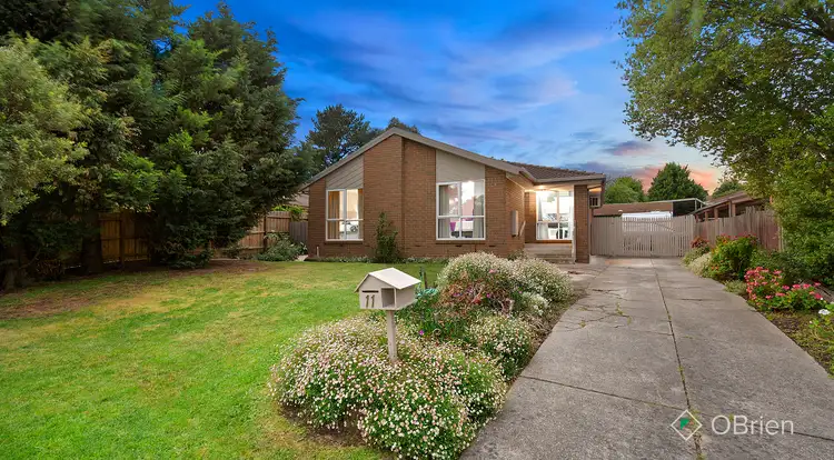 11 Tarbet Court, Endeavour Hills VIC 3802