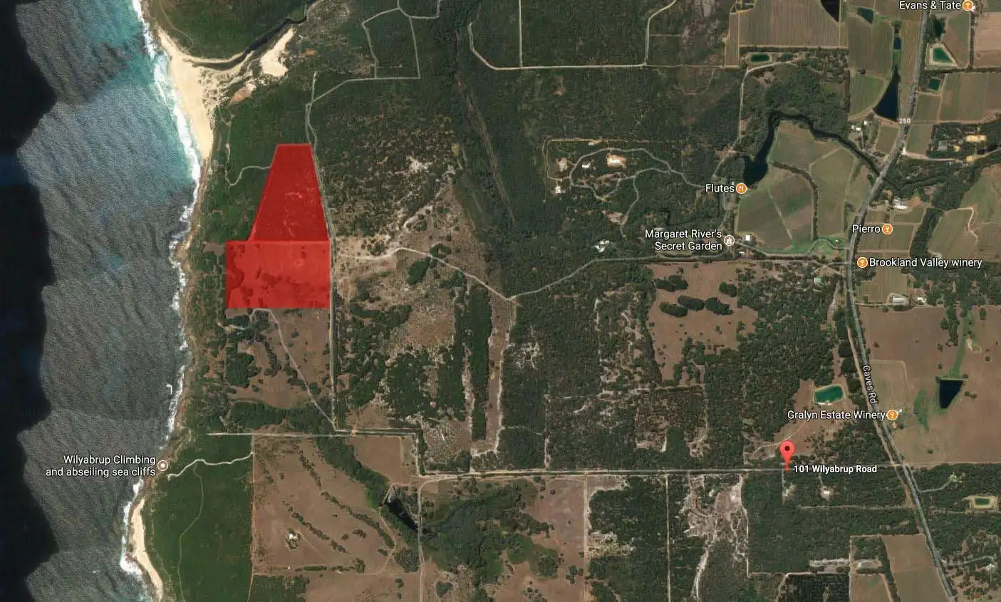 Main view of Homely rural property listing, 101 Wilyabrup Road, Wilyabrup WA 6280