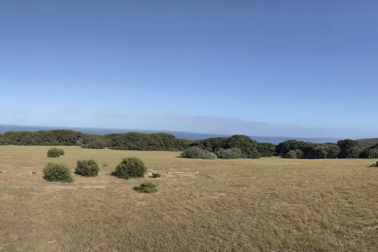 Second view of Homely rural property listing, 101 Wilyabrup Road, Wilyabrup WA 6280