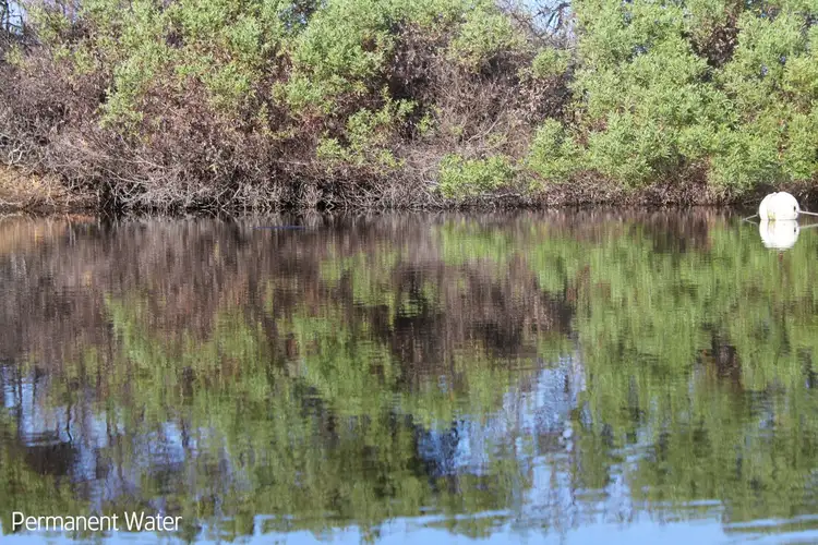 Fourth view of Homely rural property listing, 101 Wilyabrup Road, Wilyabrup WA 6280