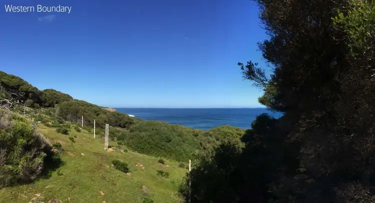 Fifth view of Homely rural property listing, 101 Wilyabrup Road, Wilyabrup WA 6280