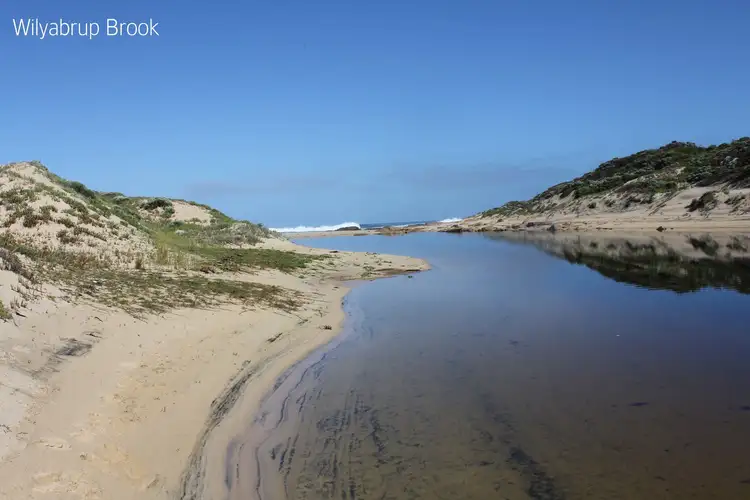 Seventh view of Homely rural property listing, 101 Wilyabrup Road, Wilyabrup WA 6280