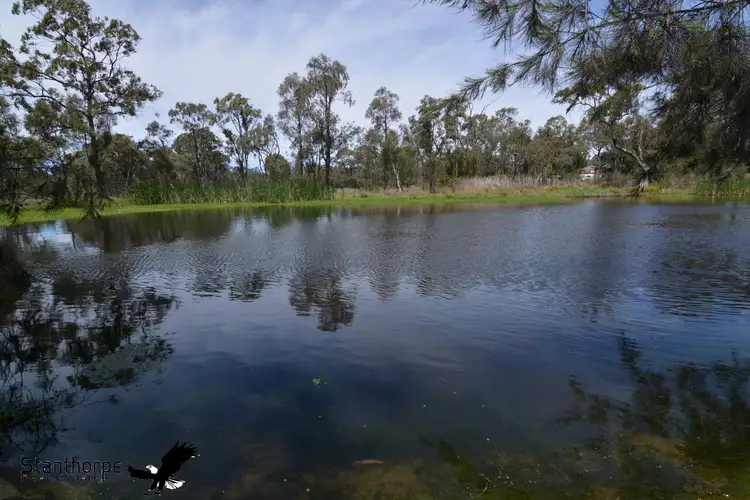 Fourth view of Homely land listing, 28 Bau Court, Applethorpe QLD 4378