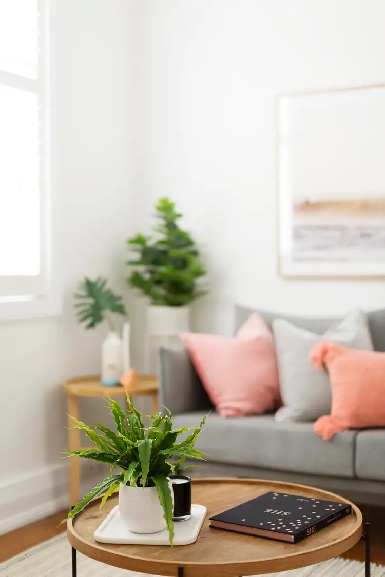 Fourth view of Homely unit listing, 7/97-107 Sydney Road, Manly NSW 2095