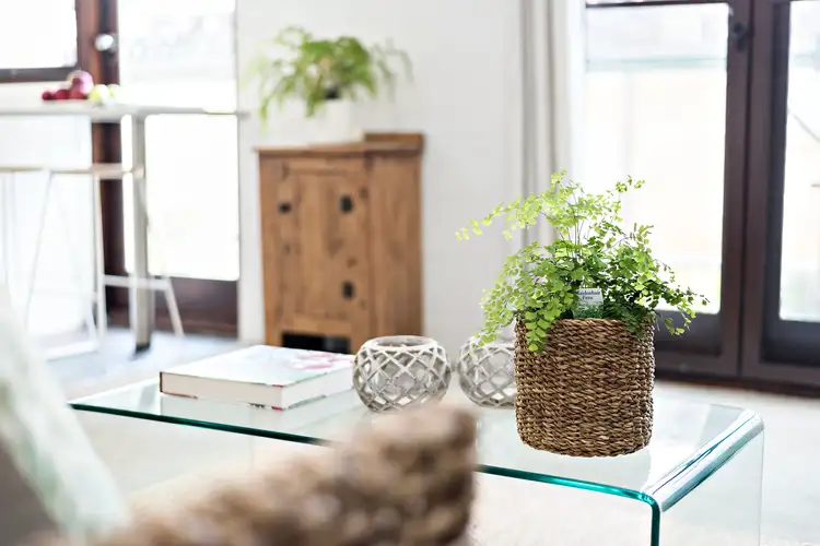 Fourth view of Homely unit listing, 2/28 Darley Street, Mona Vale NSW 2103