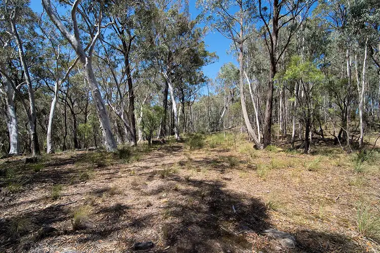 LOT 87, 257 Triangle Swamp Road, Mudgee NSW 2850