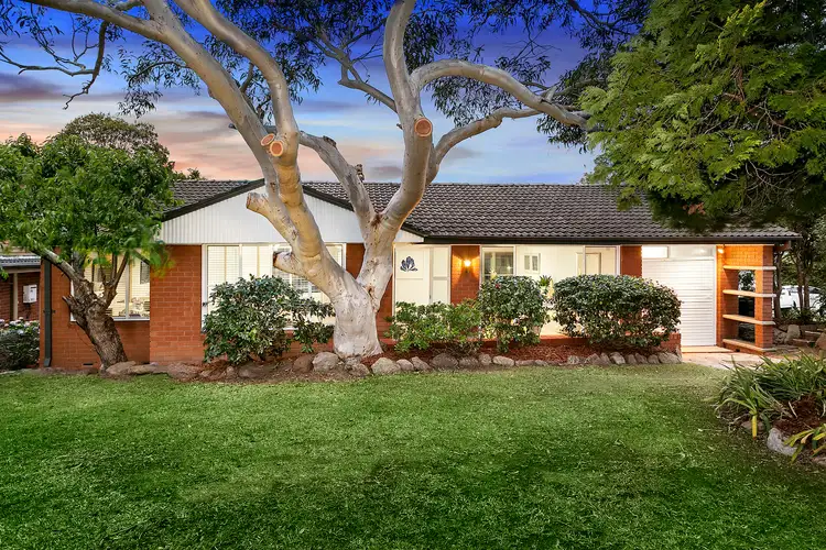 31 Jimada Avenue, Frenchs Forest NSW 2086