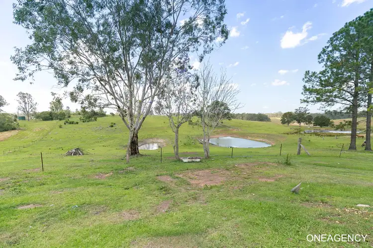 Third view of Homely rural property listing, 1026 Willi Willi Road, Temagog NSW 2440