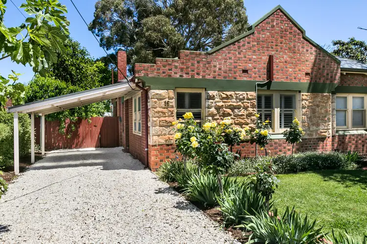 16 Clark Avenue, Glandore SA 5037
