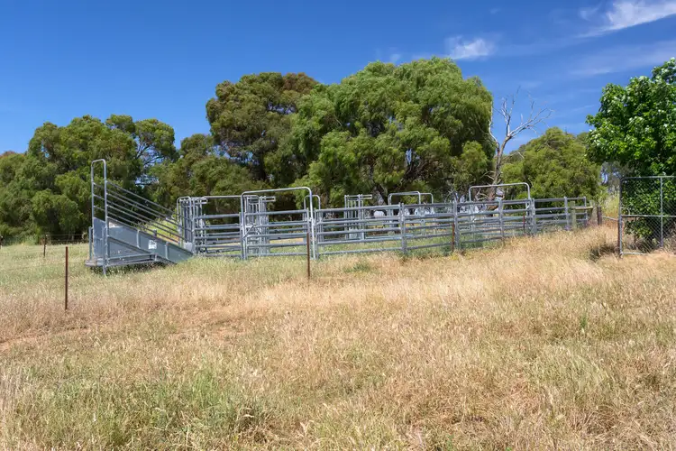 Fourth view of Homely house listing, 398 Perryman Lane, Table Top NSW 2640