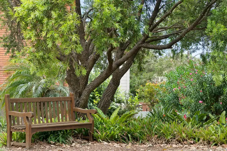 Fifth view of Homely unit listing, 12/5-9 Wheeler Parade, Dee Why NSW 2099