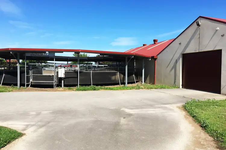 Sixth view of Homely rural property listing, 121 Racecourse Road, Clarendon NSW 2756