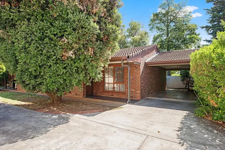 Main view of Homely unit listing, 3/32 Third Avenue, St Morris SA 5068
