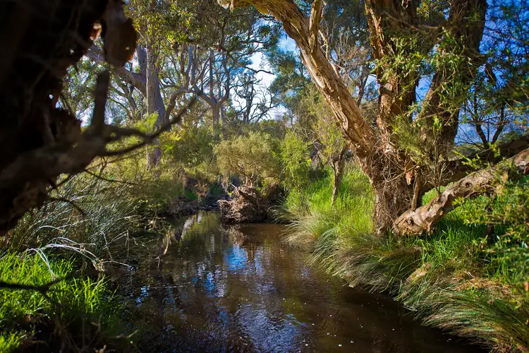 Fourth view of Homely house listing, 1284 Millbrook Road, Millbrook WA 6330