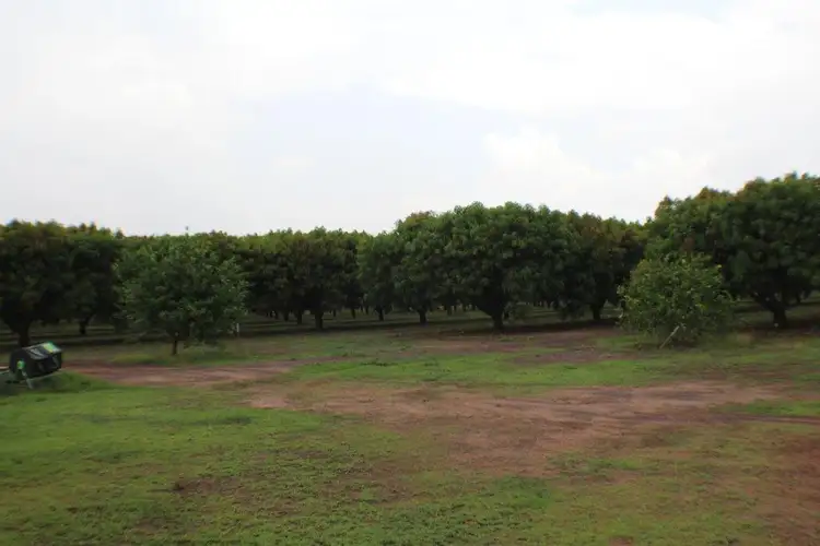 Main view of Homely rural property listing, 75 Cain Road, Lambells Lagoon NT 822