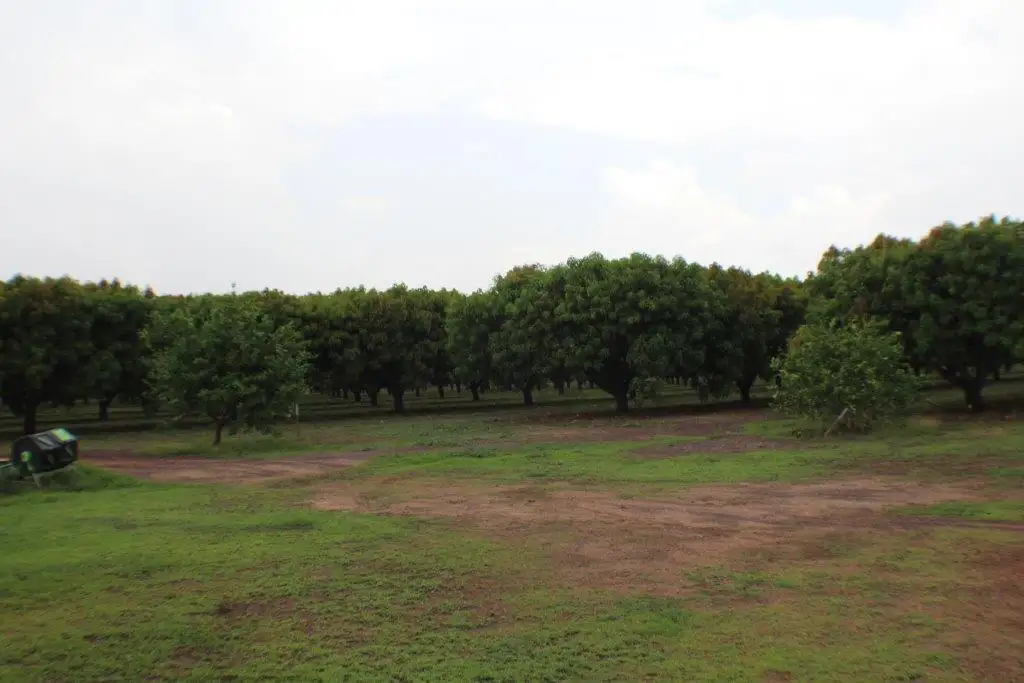Main view of Homely rural property listing, 75 Cain Road, Lambells Lagoon NT 822