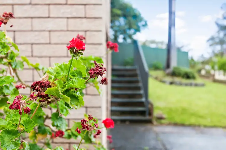 Third view of Homely house listing, 5 Kaye Avenue, Kanwal NSW 2259