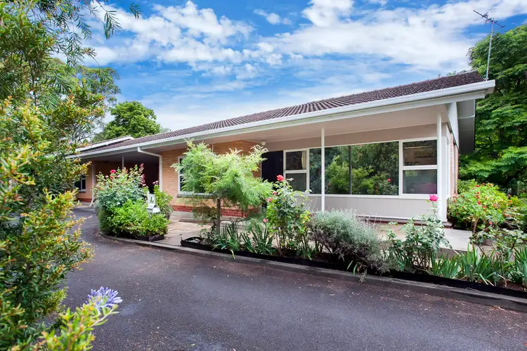 4/1 Angas Road, Hawthorn SA 5062