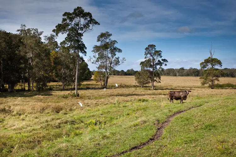 212 The Manse Road, Myocum NSW 2481