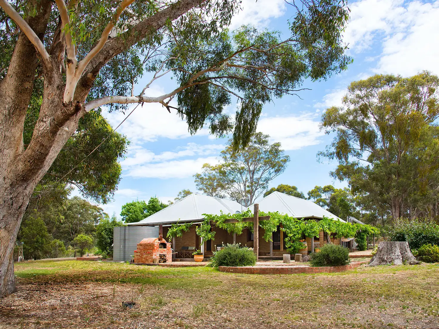 Main view of Homely house listing, 336 Rilens Road, Muckleford VIC 3451