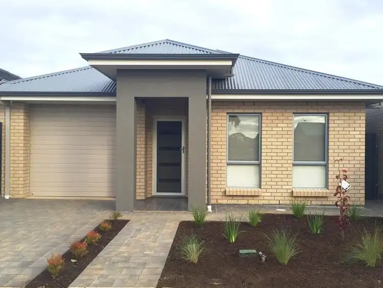 31 Aldridge Avenue, Plympton Park SA 5038