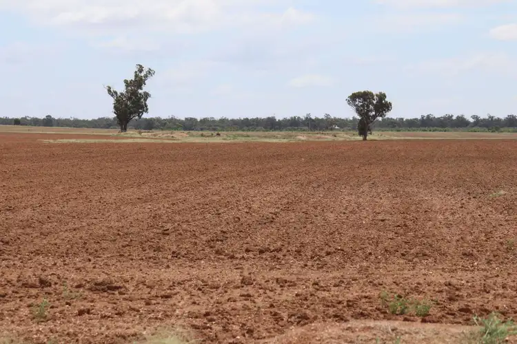 Second view of Homely rural property listing, 523 Norris Lane, West Wyalong NSW 2671