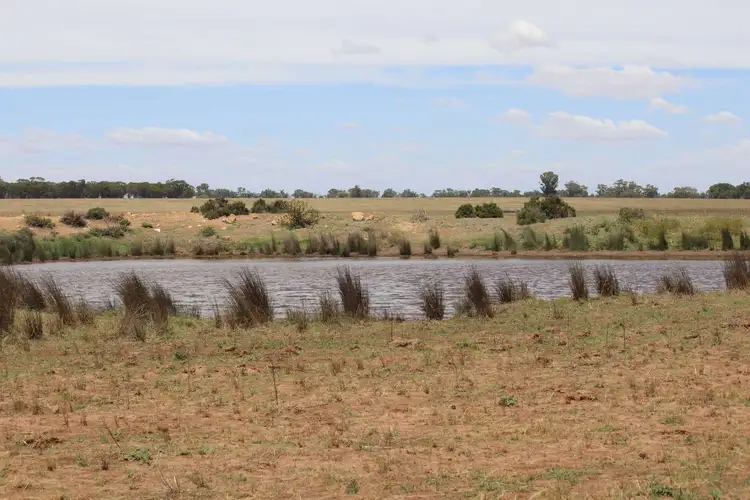 Fourth view of Homely rural property listing, 523 Norris Lane, West Wyalong NSW 2671
