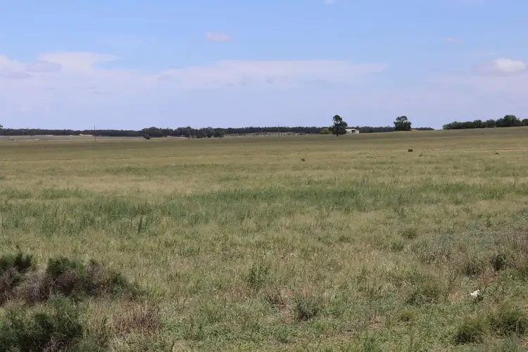 Fifth view of Homely rural property listing, 523 Norris Lane, West Wyalong NSW 2671