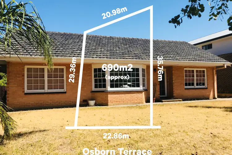 51 Osborn Terrace, Plympton SA 5038
