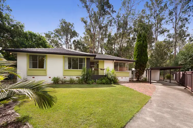 16 Conebush Crescent, Bellbowrie QLD 4070